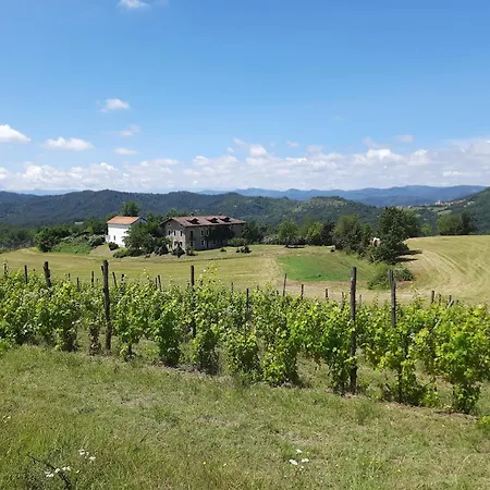 Agriturismo Cascina Bozzetti - Tutta La Struttura in Esclusiva-2